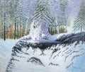White Siberian tiger stalking his prey from a snowy cliff face, in a mixed birch tree forest, as the sun rises in the background